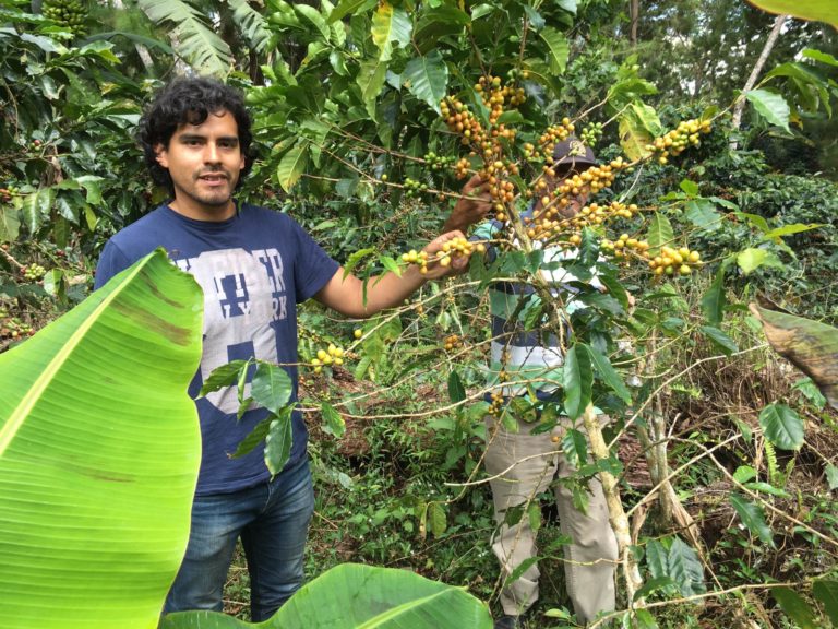 FairBeans – direkter Handel von Rohkaffeebohnen aus Peru