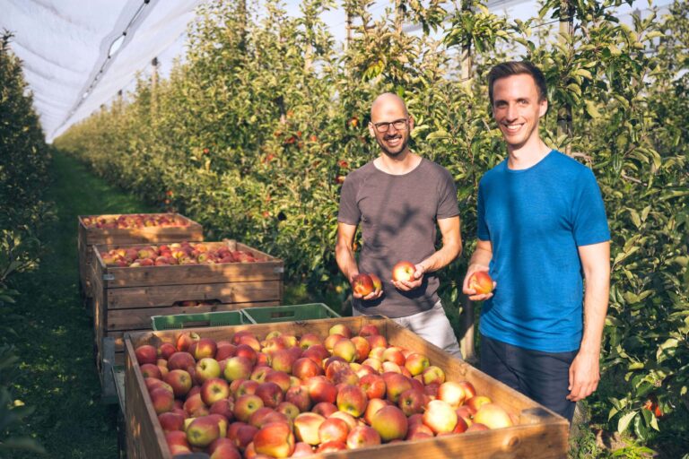 Feldling – Von regionalen Landwirt*innen direkt in Kitas, Schulen und Restaurants